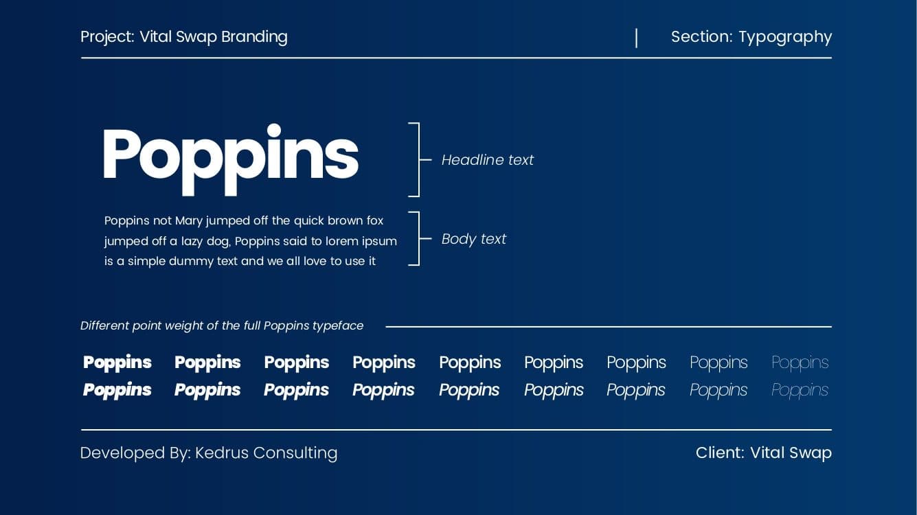 Vital Swap brand guide: Poppins typography, from the Code Intelligence G7 AI case study